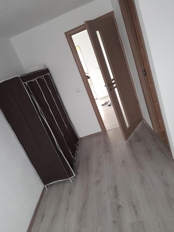 ホテル Casa Alex Cîrţişoara エクステリア 写真