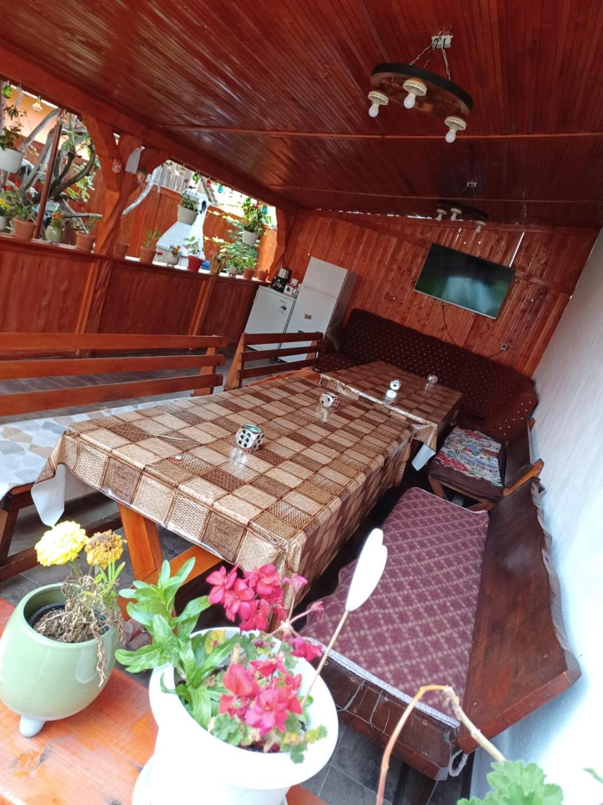 ホテル Casa Alex Cîrţişoara エクステリア 写真