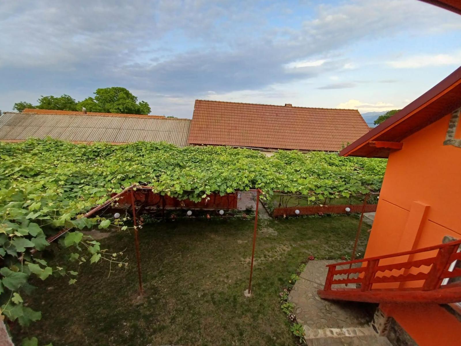 ホテル Casa Alex Cîrţişoara エクステリア 写真